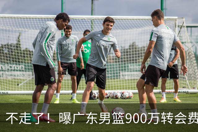 不走了！曝广东男篮900万转会费签下昔日状元内线，杜锋拒绝摆烂