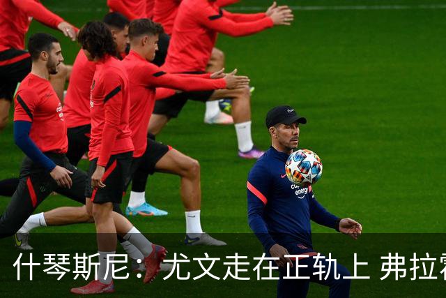 什琴斯尼：尤文走在正轨上 弗拉霍维奇非常出色